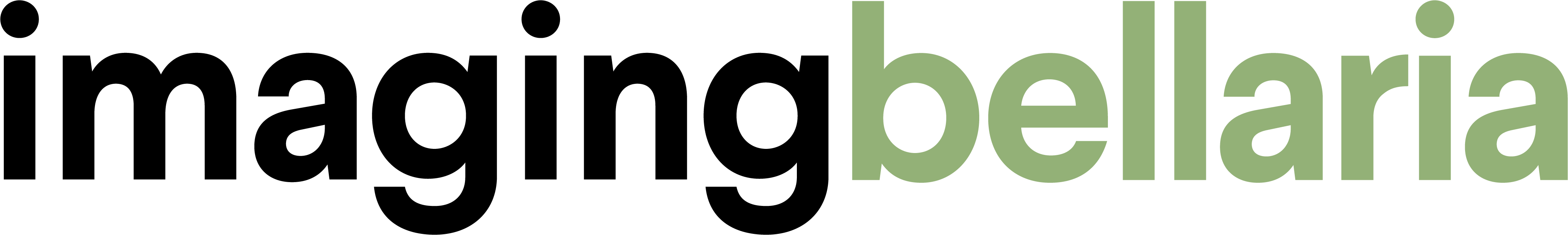 Logo Imaging Bellaria 2020 Pantone577 U